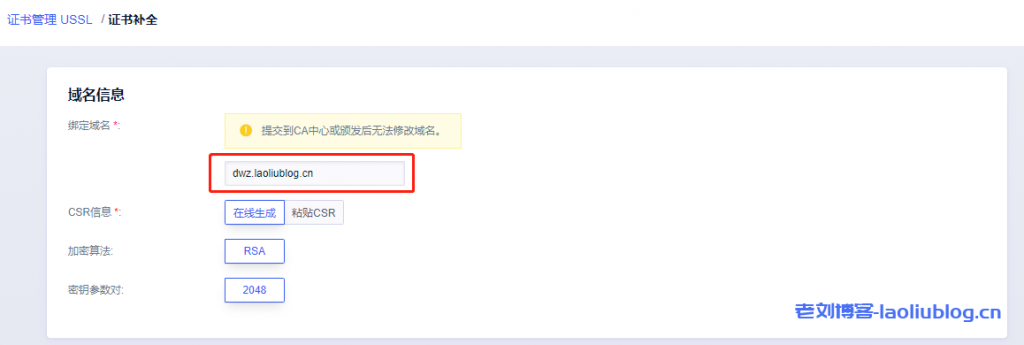 填写SSL证书域名信息